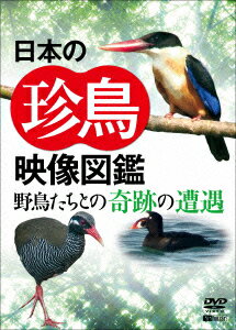 日本の珍鳥 映像図鑑 野鳥たちとの奇跡の遭遇 [ (趣味/教養) ]