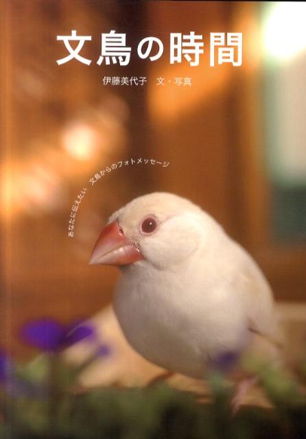 文鳥の時間