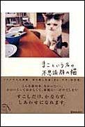 まこという名の不思議顔の猫