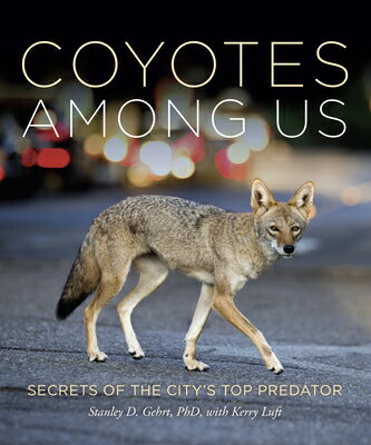 Coyotes Among Us: Secrets of the City's Top Predator COYOTES AMONG US [ Stanley D. Gehrt ]