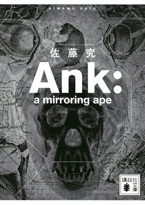 Ank ： a mirroring ape