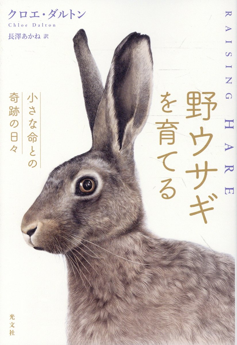 野ウサギを育てる