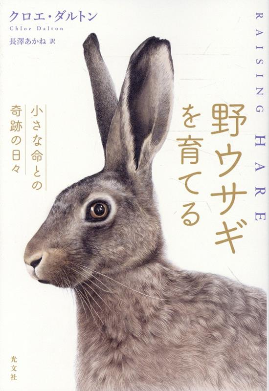 実家近くの田舎道で、手のひらにのるほど小さい野ウサギの赤ちゃんを拾ってしまったクロエ。野生に帰す前提で名前は付けず、日に三度スポイトでミルクを与える日々。動き回るようになってからは、昼は庭に放ち、夜は屋内に回収する。ある日、ついに野ウサギは垣根を飛び越え、別れも言わず外の世界へと巣立っていく。しかし数日後……小さな動物との交流を綴った感動の手記。