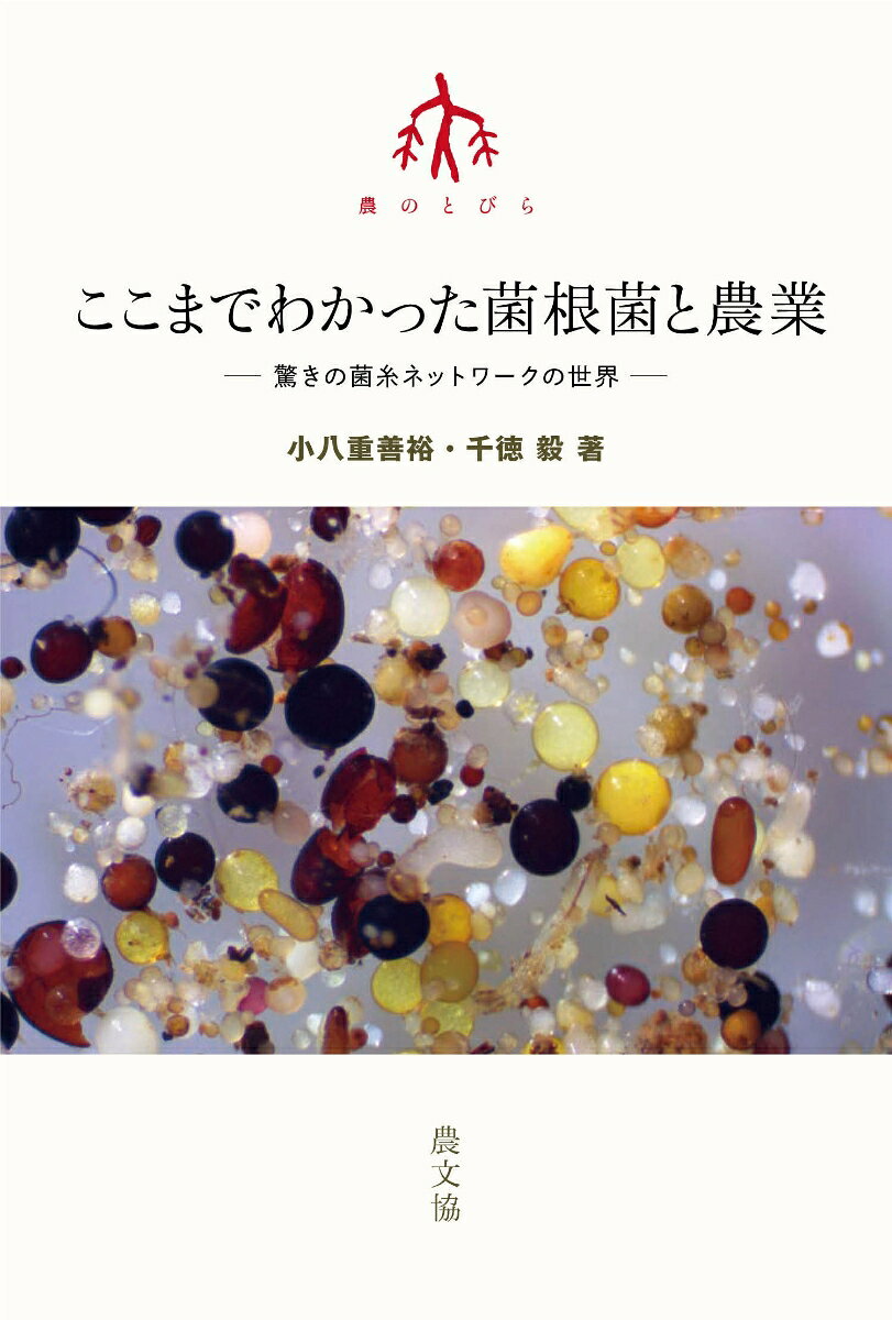 菌根菌は、生きた植物に共生して植物から光合成産物をもらい、養水分を植物に供給して生きている微生物。その菌糸ネットワークは、言わば「第2の根」として植物の養分吸収を助けるだけでなく、土壌環境を整えるはたらきをもつ。この本では、「肥料をやらない」「多様な植物を生やす」「耕さない」など菌根菌がよろこぶ畑づくりのポイントから、これからの農業のあり方を考える。2人の菌根菌研究者が熱く語り、素朴な質問にも答えた大好評のセミナーに、書下ろし原稿も加えて書籍化。
はじめにーなぜ今菌根菌なのか？
【前編　ここまでわかった菌根菌の世界】
第1講　驚きの菌根菌の生態とはたらき　小八重善裕（酪農学園大学教授）
第2講　アーバスキュラー菌根菌の観察法と活用法　千徳毅（（株）アライヘルメット自然科学室研究員）

質疑応答から

【後編　菌根菌をもっと知る】	小八重善裕（酪農学園大学教授）
補講1　菌根菌という生きもの
補講2　畑の環境と菌根菌
（コラム）水田稲作に菌根菌は活用できるのか？
補講3　菌根菌を活かす栽培
（コラム2）「菌ちゃん農法」をどうみるか？

もっと知るための文献案内

著者紹介