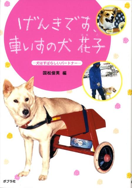 げんきです、車いすの犬花子