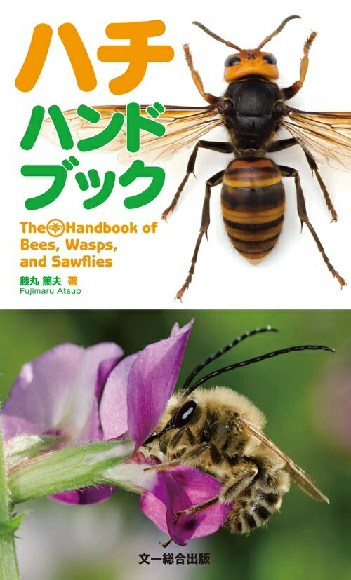ハチハンドブック