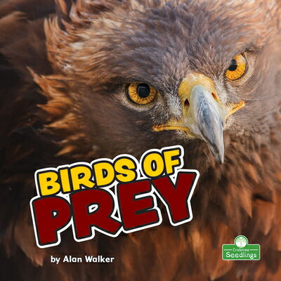 Birds of Prey BIRDS OF PREY [ Alan Walker ]