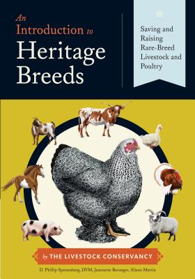 An Introduction to Heritage Breeds: Saving and Raising Rare-Breed Livestock and Poultry INTRO TO HERITAGE BREEDS [ D. Phillip Sponenberg ]