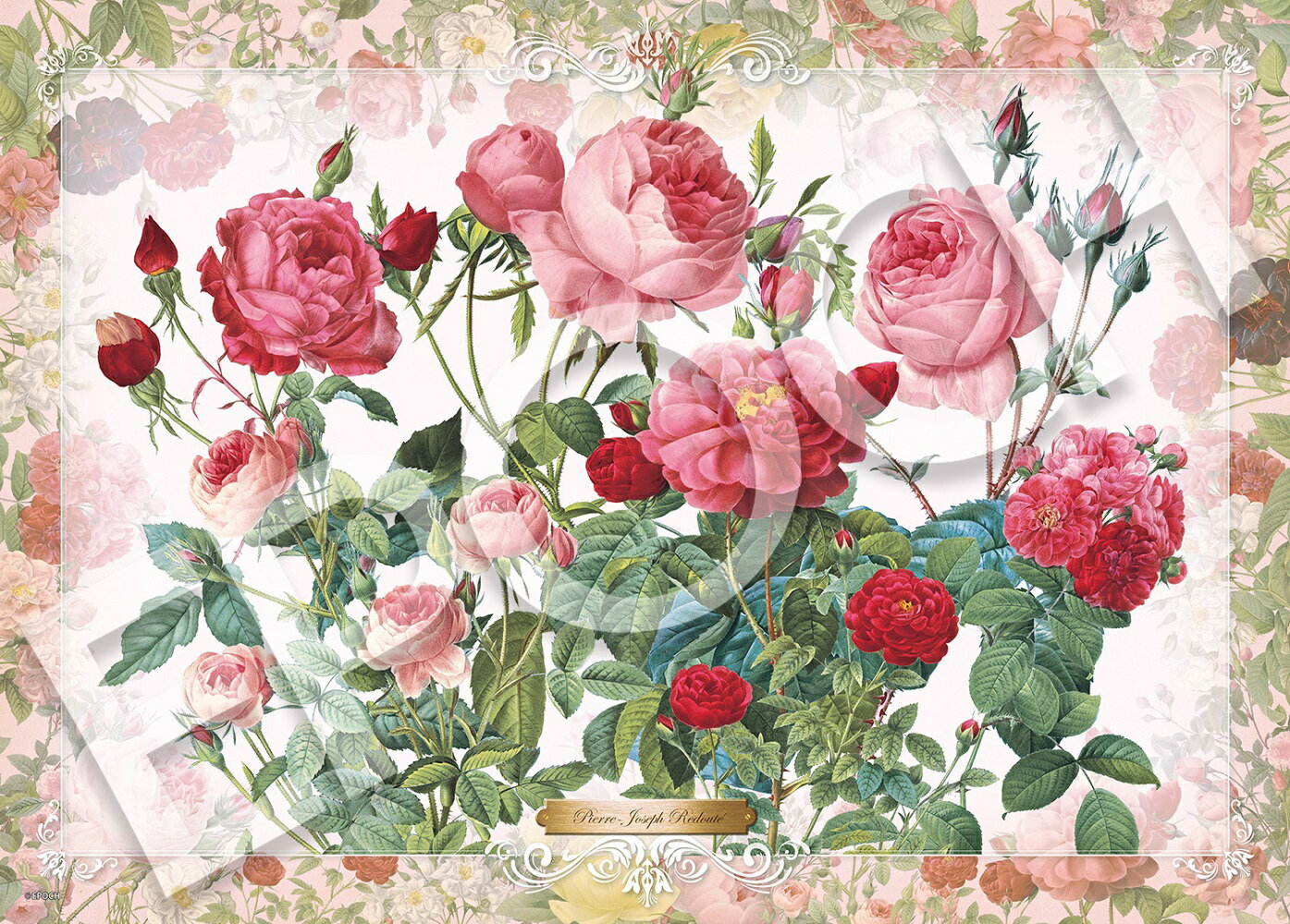 ジグソーパズル 薔薇の誘い 500ピース (38x53cm)