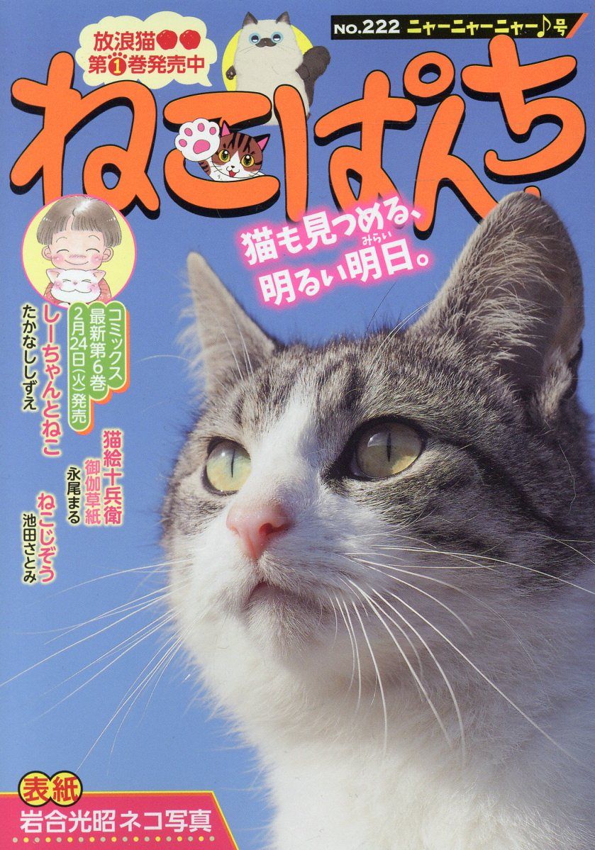 ねこぱんち ニャーニャーニャー♪号