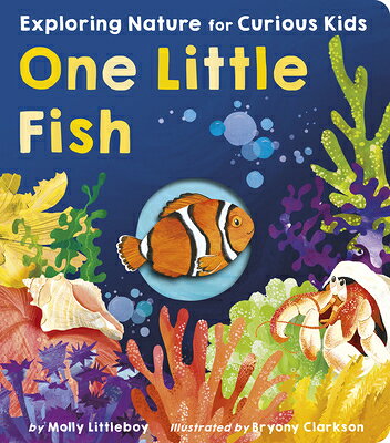 One Little Fish: Exploring Nature for Curious Kids 1 LITTLE FISH （One Little） [ Molly Littleboy ]