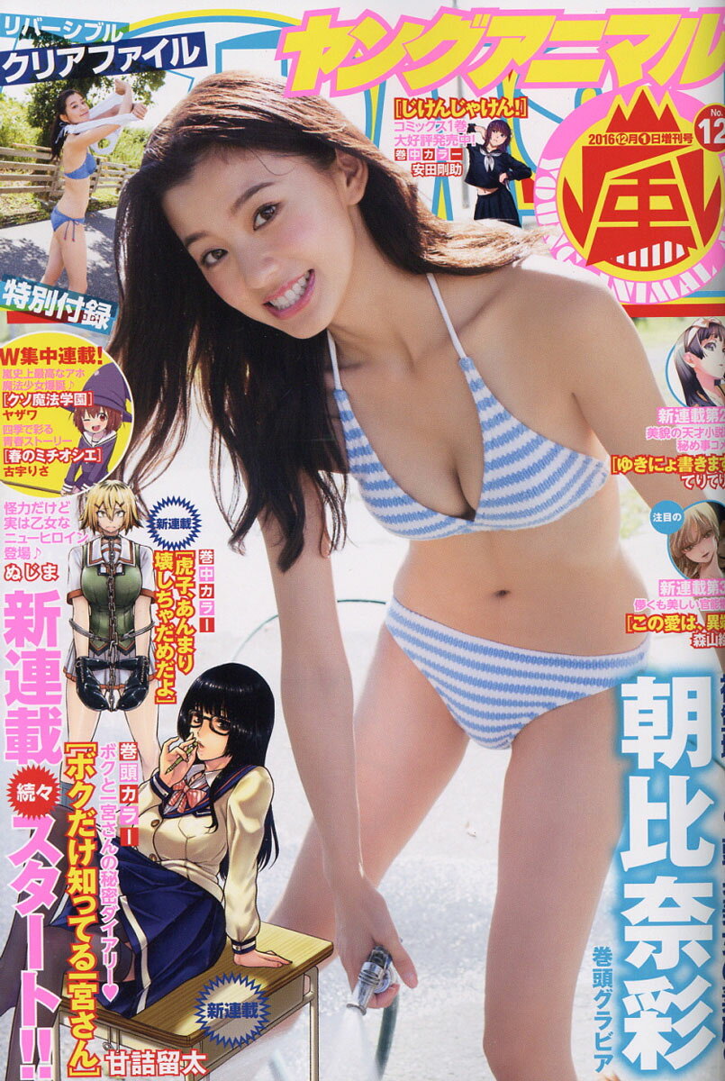ヤングアニマル嵐 2016年 12/1号 [雑誌]