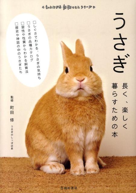うさぎ