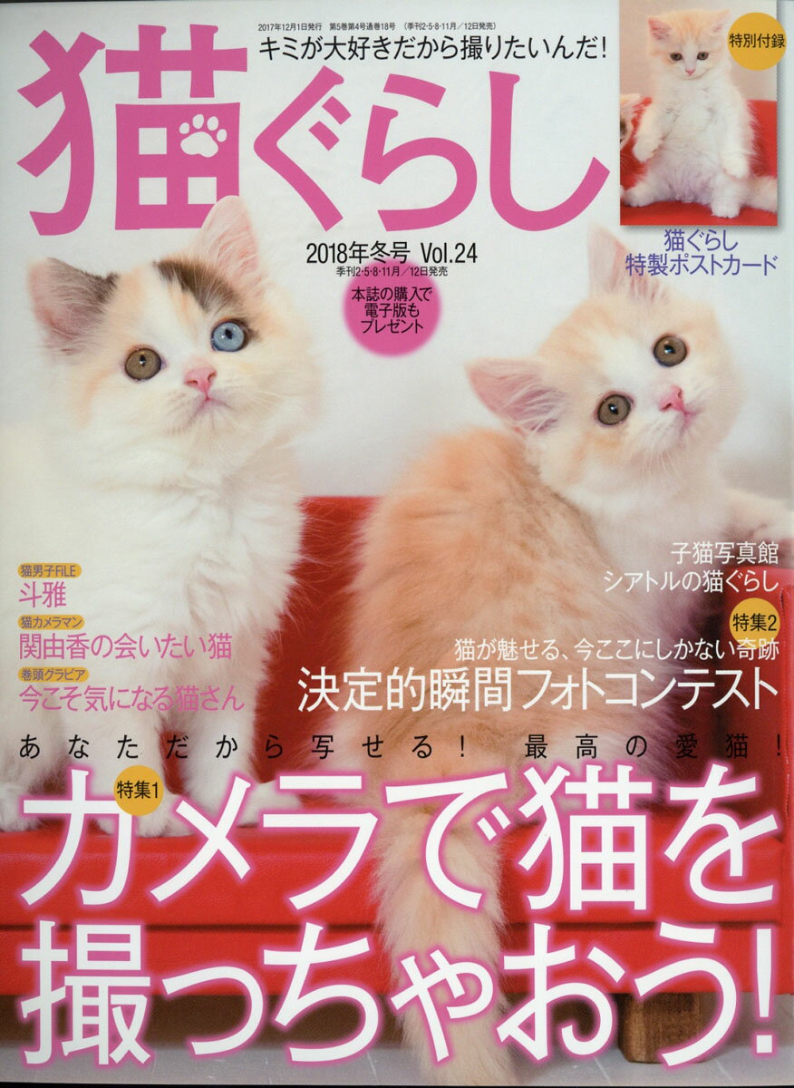 猫ぐらし 2017年 12月号 [雑誌]