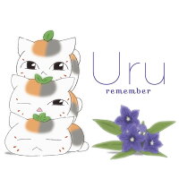remember (期間生産限定盤 CD＋Blu-ray)