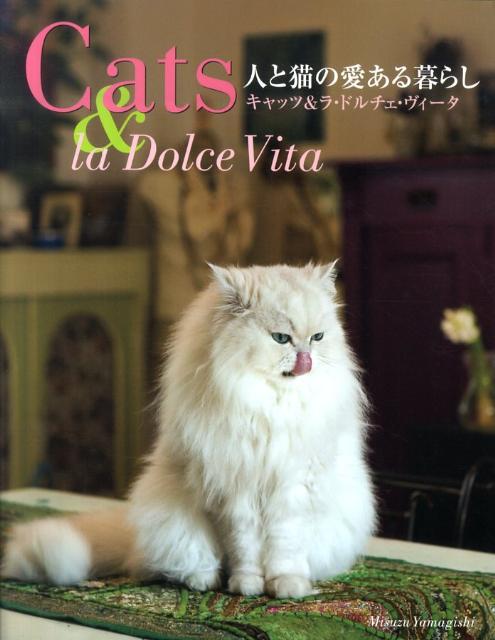 人と猫の愛ある暮らし