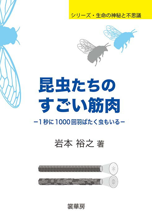 【謝恩価格本】シリーズ・生命の神秘と不思議　昆虫たちのすごい筋肉　-1秒に1000回羽ばたく虫もいるー