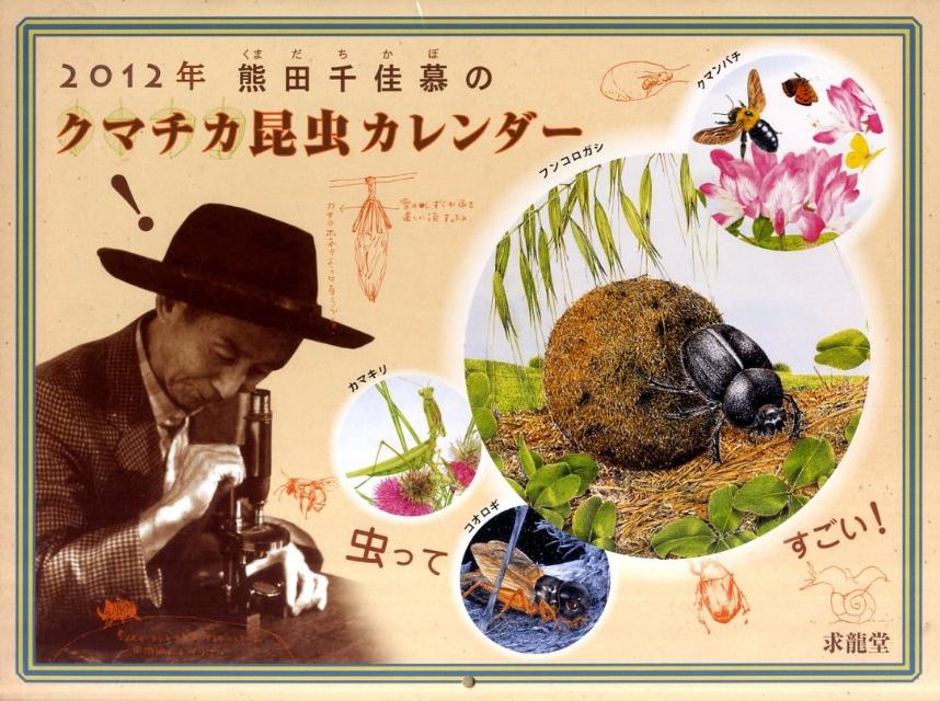 熊田千佳慕：クマチカ昆虫カレンダー（2012）