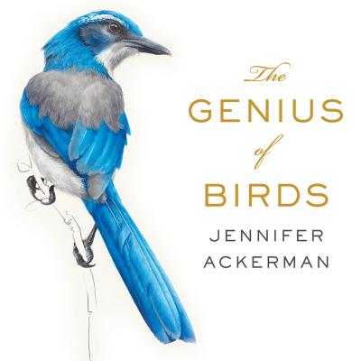 The Genius of Birds GENIUS OF BIRDS 10D [ Jennifer Ackerman ]