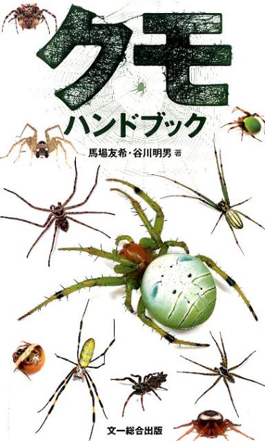 身近に見られるクモ１００種を厳選。