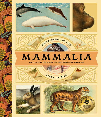 Mammalia: An Illustrated Guide to the World of Mammals MAMMALIA （Encyclopedia of Life） [ Lindy Mattice ]
