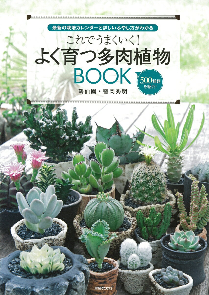 これでうまくいく よく育つ多肉植物BOOK [ 鶴岡秀明 ]