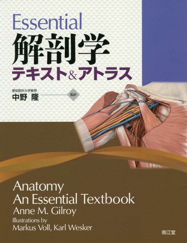Essential解剖学