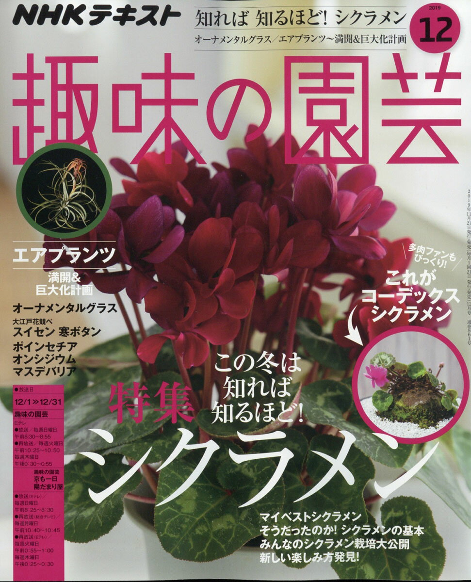 NHK 趣味の園芸 2019年 12月号 [雑誌]