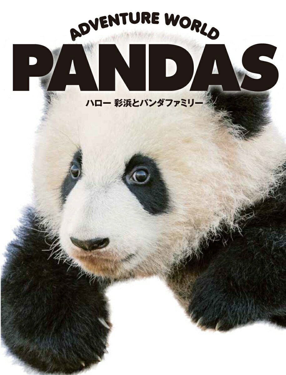 ADVENTURE WORLD PANDAS ハロー彩浜とパンダファミリー [ 小澤 千一朗 ]