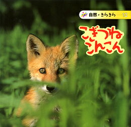 こぎつねこんこん