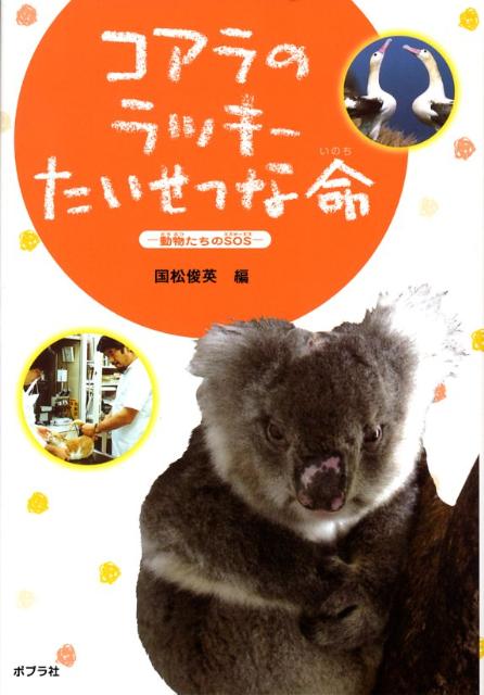 コアラのラッキーたいせつな命