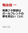 青春ブタ野郎はガールフレンドの夢を見ない（14） （電撃文庫） 