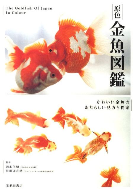 原色金魚図鑑 かわいい金魚のあたらしい見方と提案