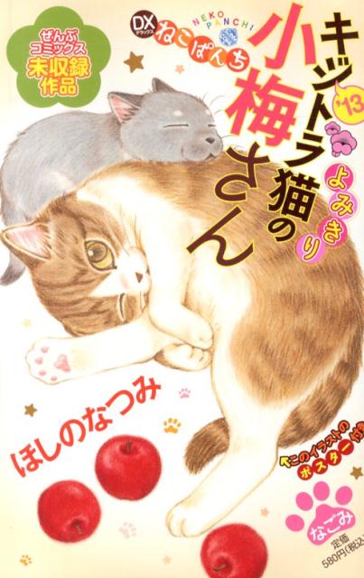 デラックスねこぱんちキジトラ猫の小梅さん（’13）