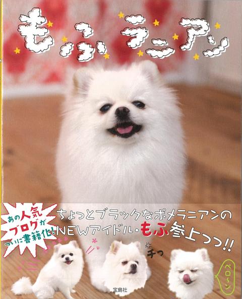 【バーゲン本】もふラニアン