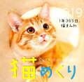 猫めくりカレンダー(2019)