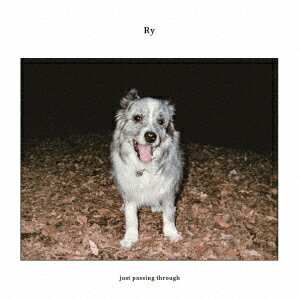just passing through【アナログ盤】 [ Ry ]
