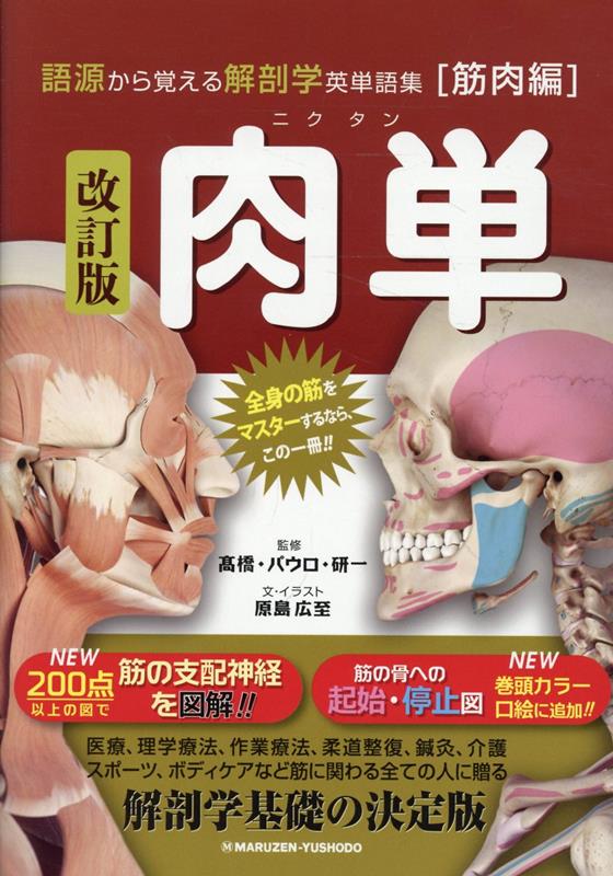 肉単改訂版