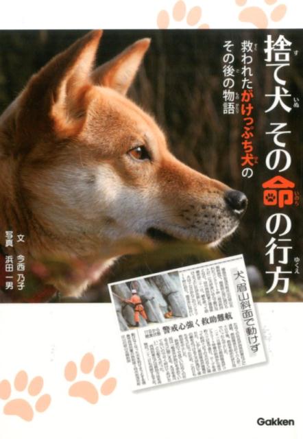 捨て犬その命の行方