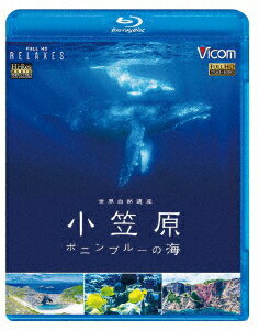 世界自然遺産 小笠原 〜ボニンブルーの海〜【Blu-ray】