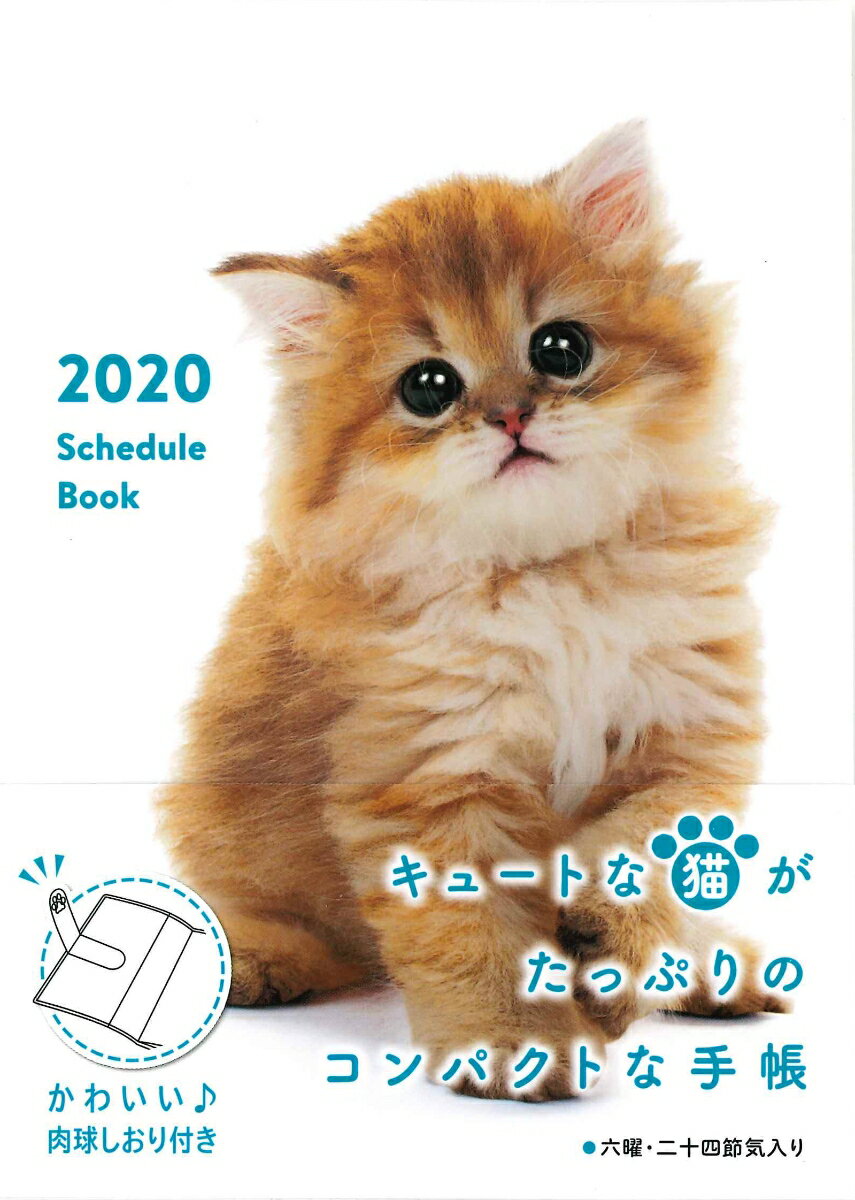 Schedule　Book　CAT（2020）