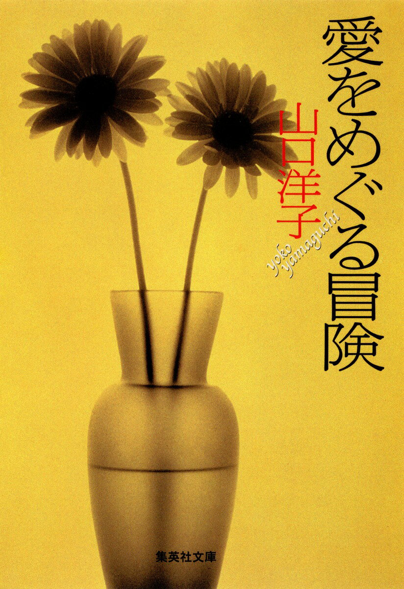 愛をめぐる冒険