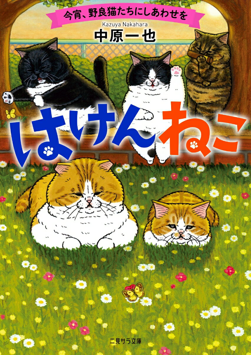 はけんねこ　〜今宵、野良猫たちにしあわせを〜