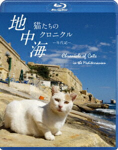 地中海・猫たちのクロニクル【Blu-ray】