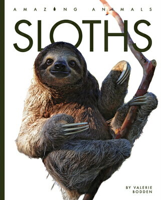 Sloths SLOTHS （Amazing Animals） [ Valerie Bodden ]