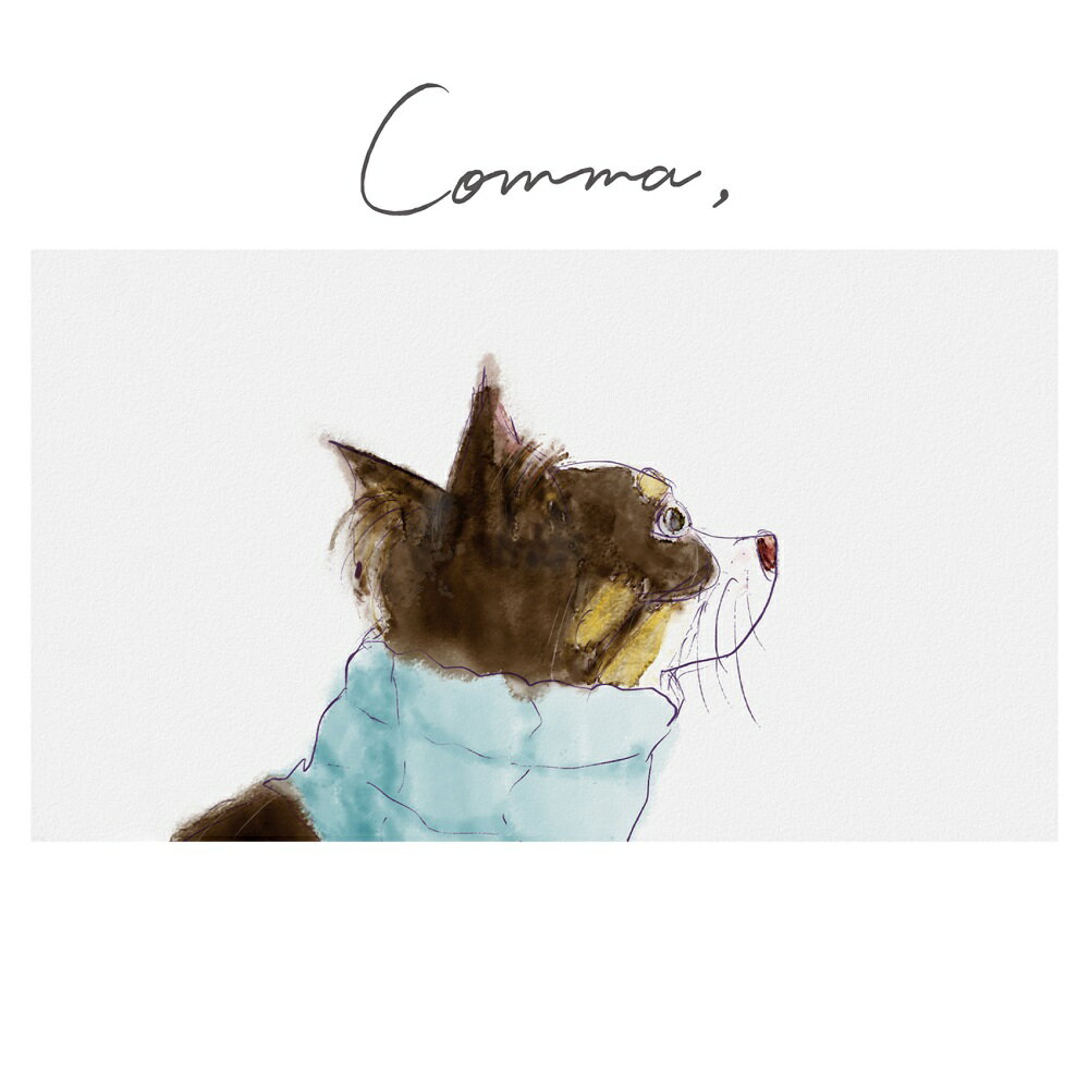 Comma (おやすみ盤) [ 佐々木恵梨 ]