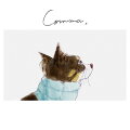 Comma (おやすみ盤)