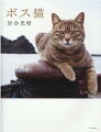 日本国内のボス猫を中心に、海外のボス猫も紹介！逞しくも愛くるしいボス猫たちのすべて。