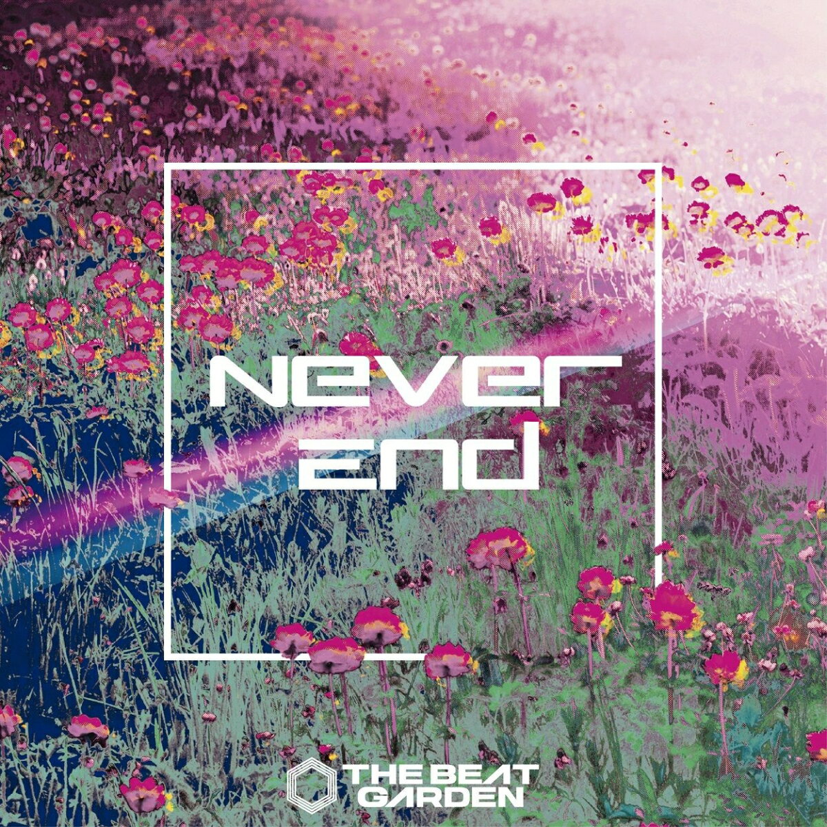 Never End (初回限定盤A CD＋DVD)