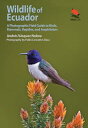 Wildlife of Ecuador: A Photographic Field Guide to Birds, Mammals, Reptiles, and Amphibians WILDLIFE OF ECUADOR Andres Vasquez Noboa